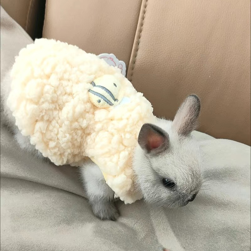 Suéter Quente de Inverno para  - Winter Clothing Newborn avaliação e preço