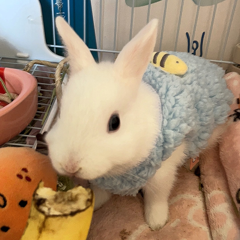 Suéter Quente de Inverno para  - Winter Clothing Newborn avaliação e preço